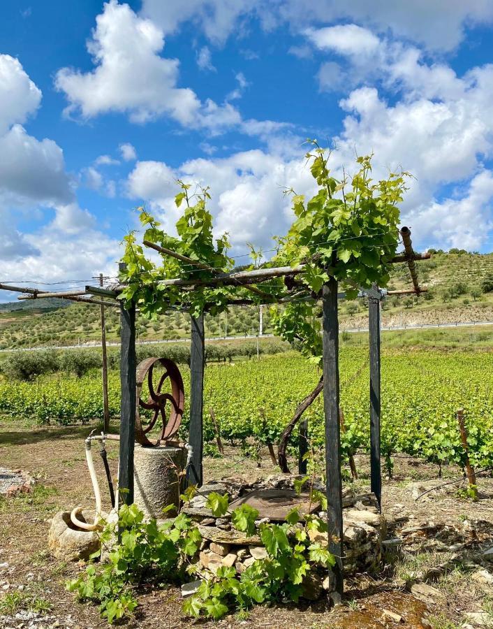 Quinta Do Chao D'ordem * Vila Nova de Foz Coa
