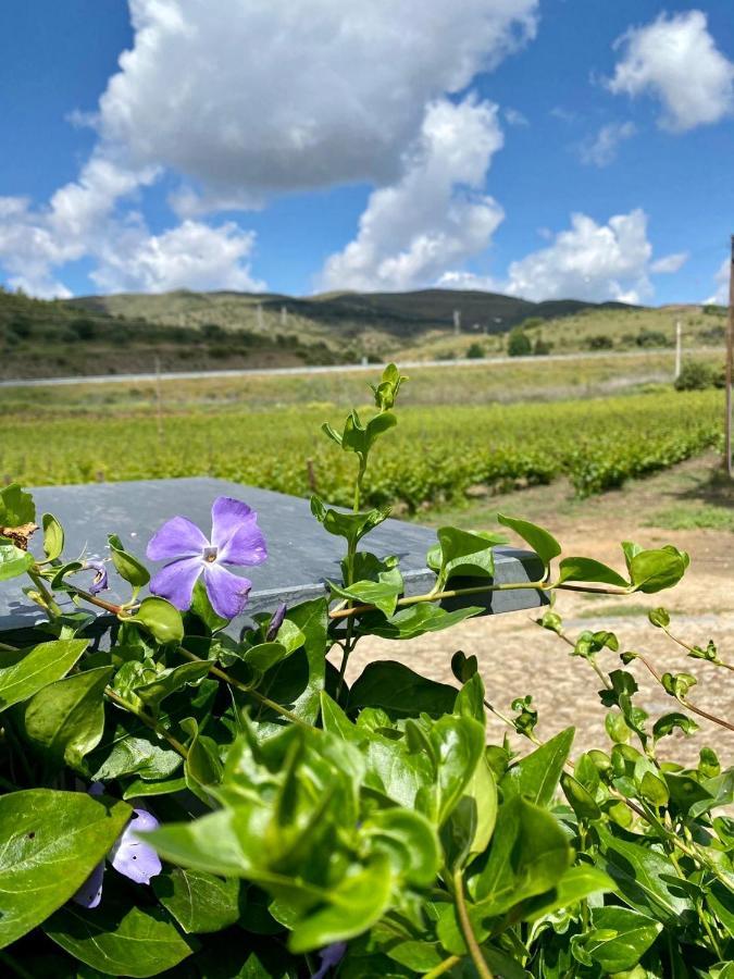 Quinta Do Chao D'ordem Farm stay Vila Nova de Foz Coa