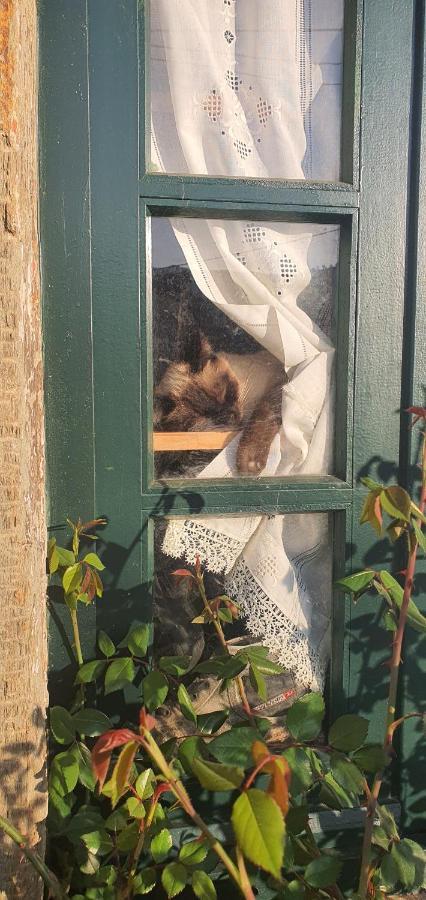 Quinta Do Chao D'ordem Farm stay
