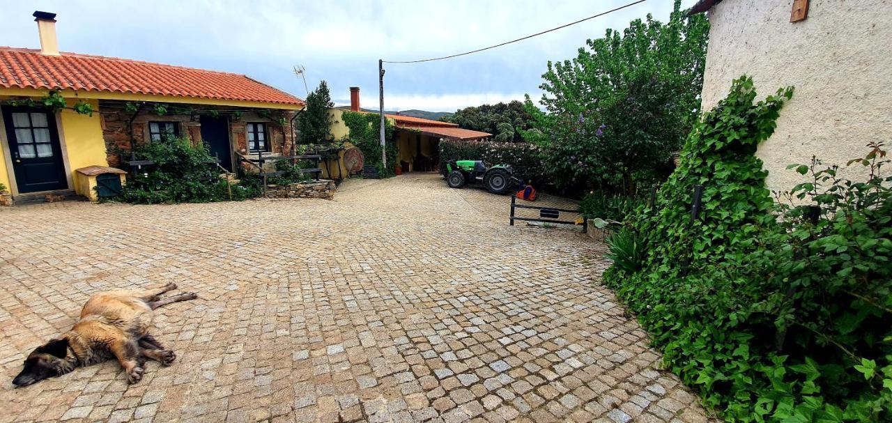 Farm stay Quinta Do Chao D'ordem Vila Nova de Foz Coa