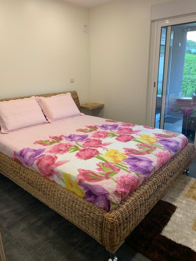 Apartamento Casa Da Ruela No Rodo *
