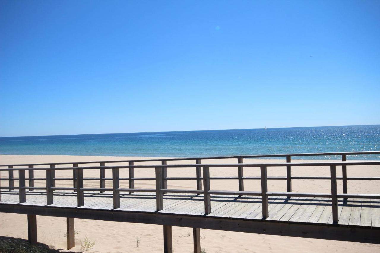 6 By Amcf Alvor