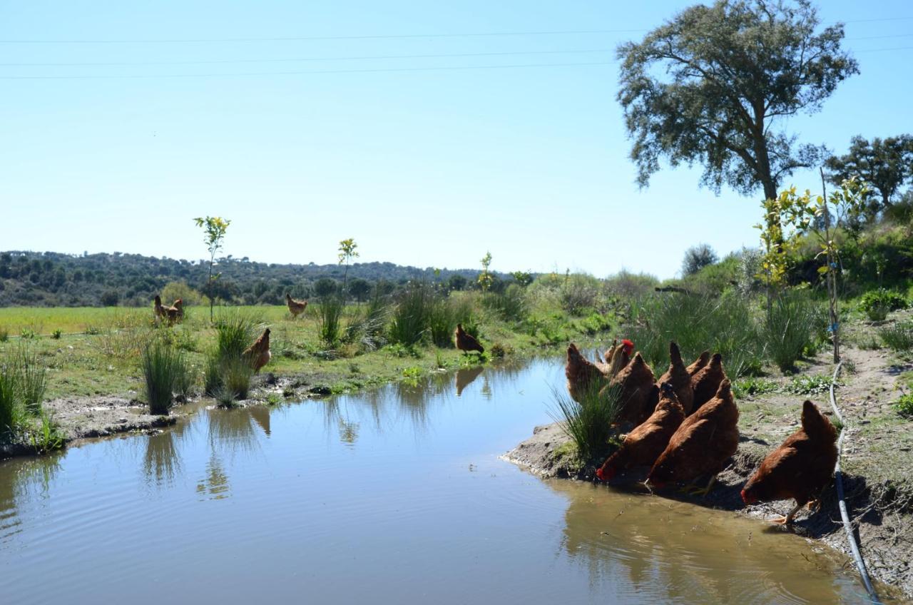 Quinta Da Saudade Holiday park 3*
