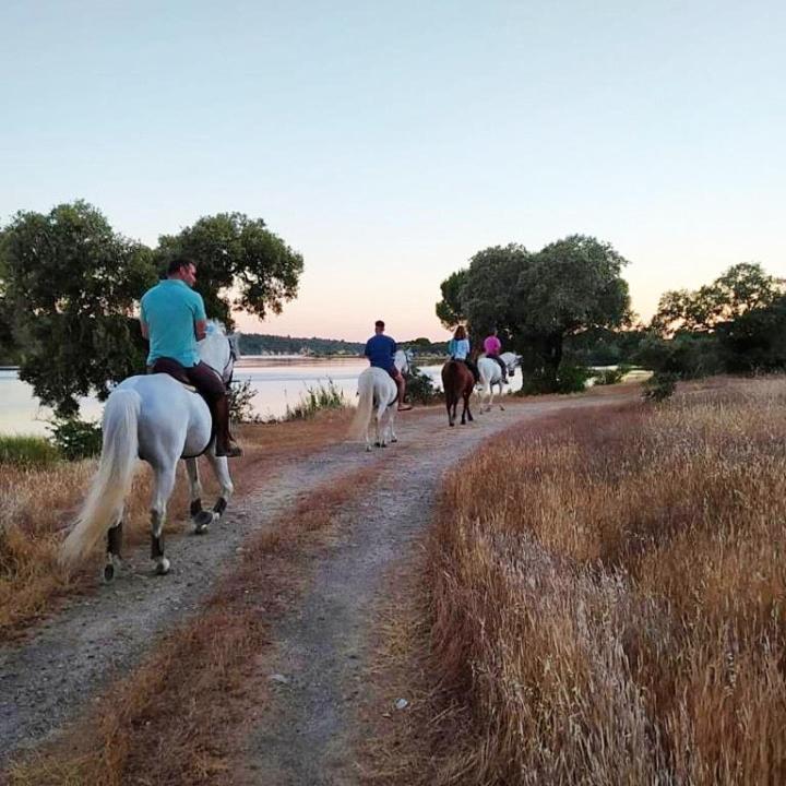 Holiday park Quinta Da Saudade 3*