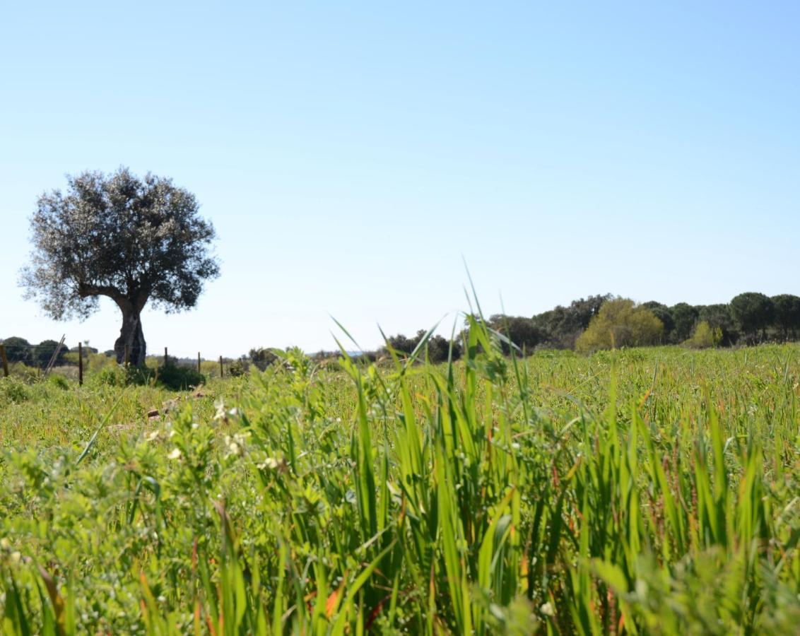 Quinta Da Saudade 3*