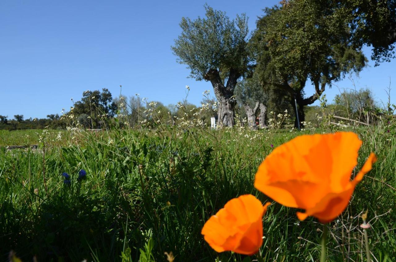 Quinta Da Saudade