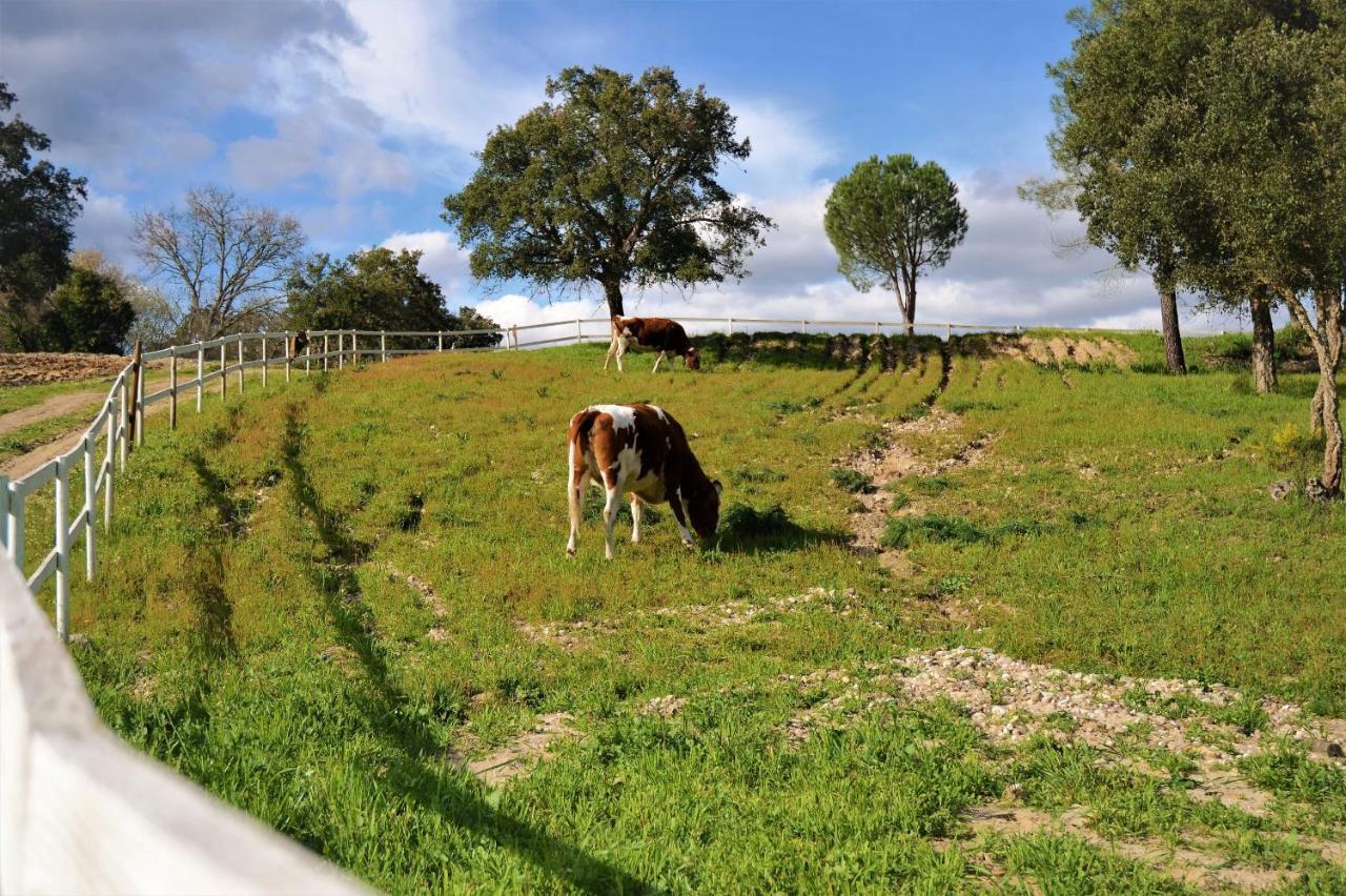 Quinta Da Saudade