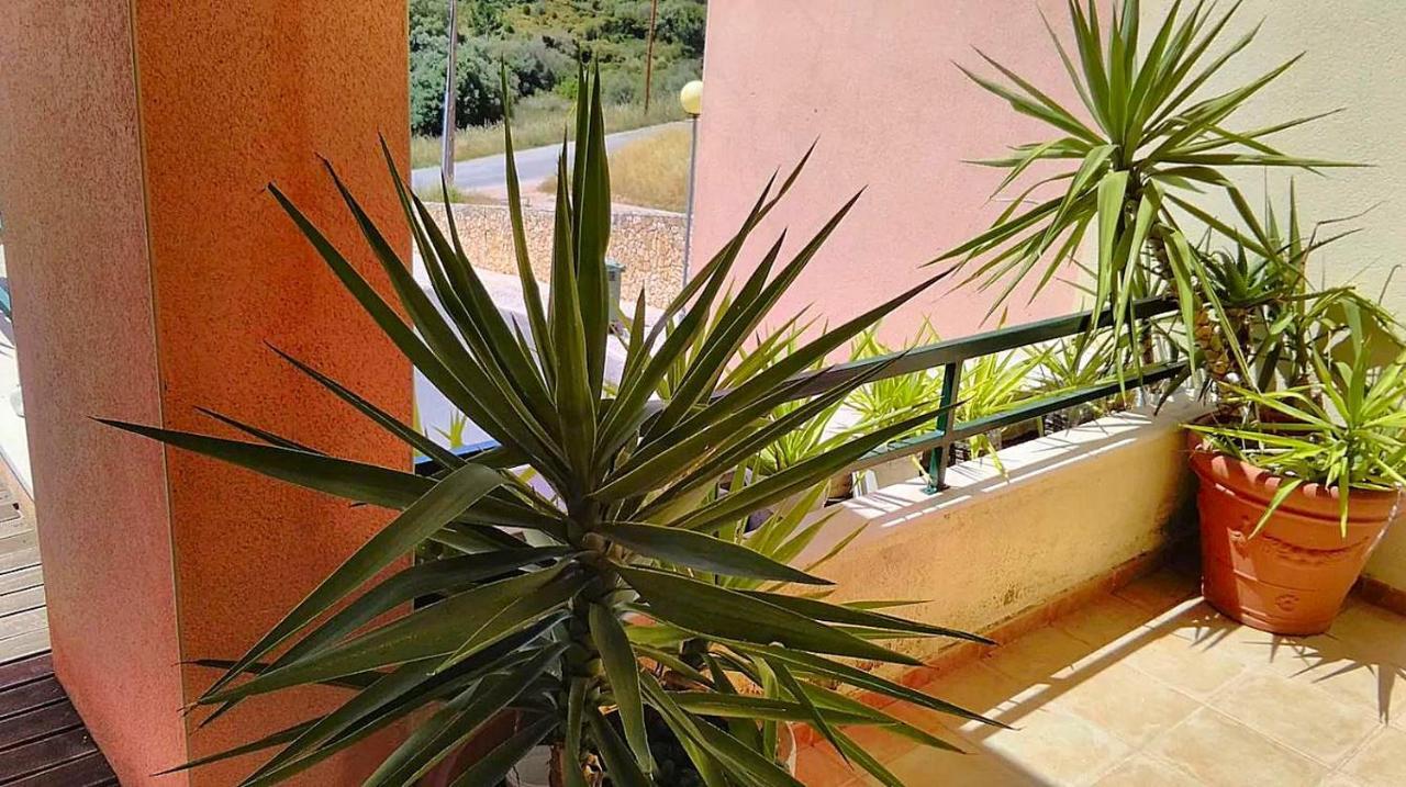 Oceanview Duplex Shared Pool & Holiday home