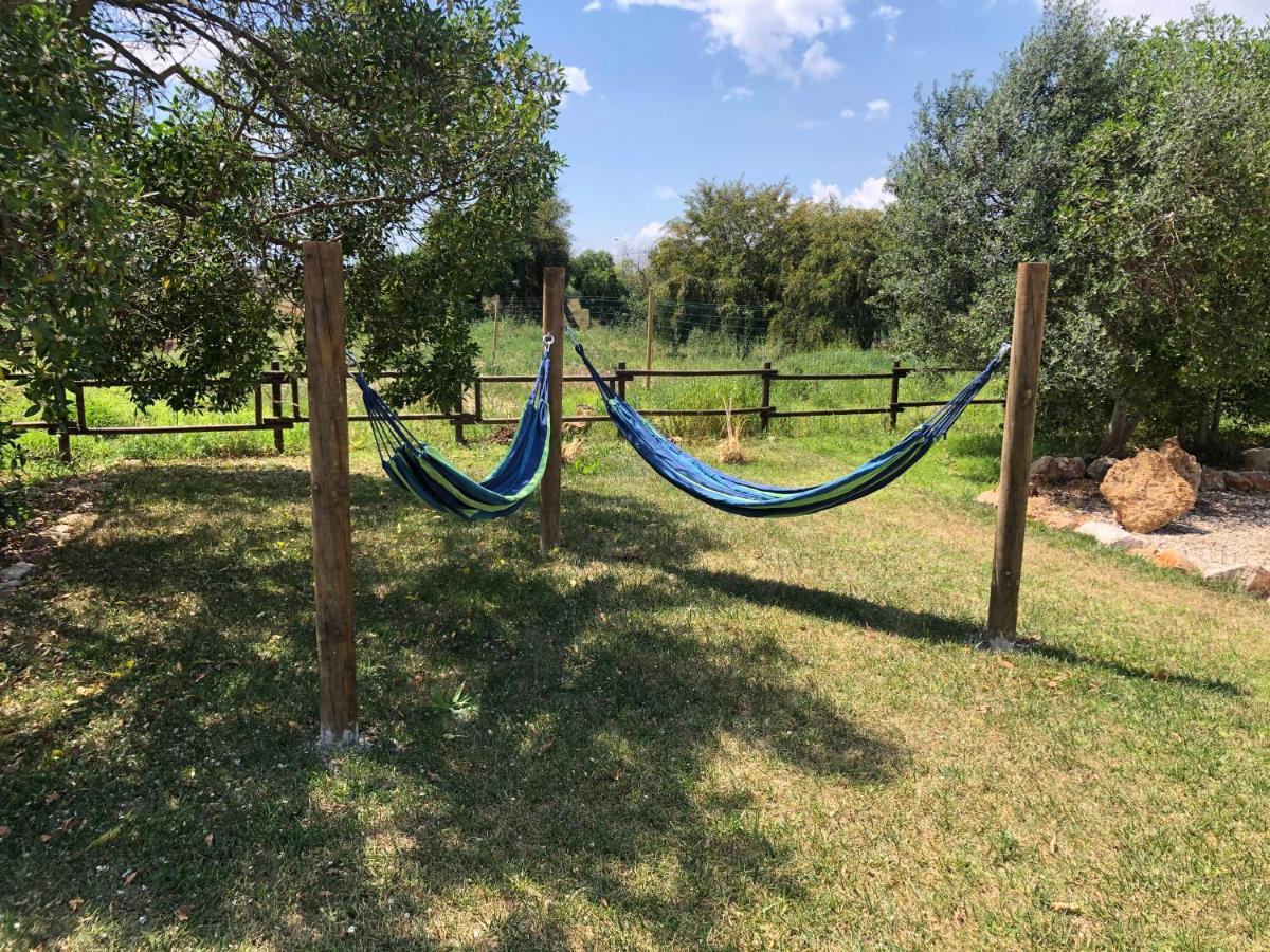 Bed & Breakfast Casa Jardim Oasis Lagoa (Algarve)
