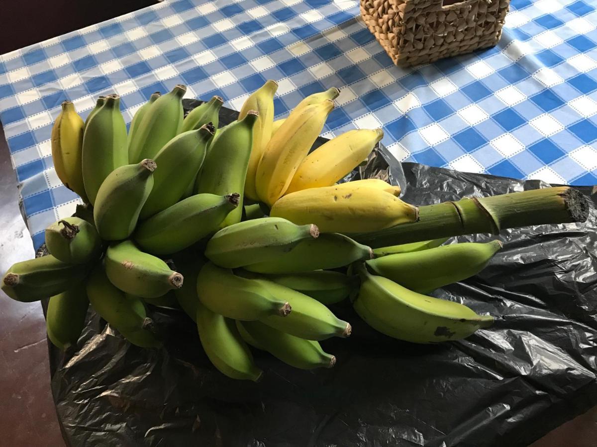 Vitorina Corte Acomodação com café da manhã 