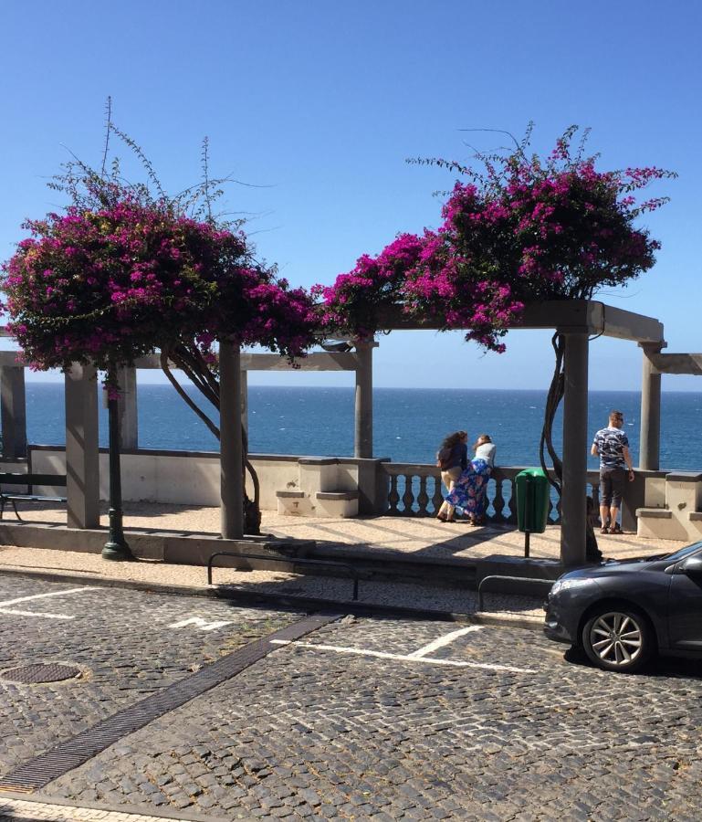 Vitorina Corte Funchal (Madeira)