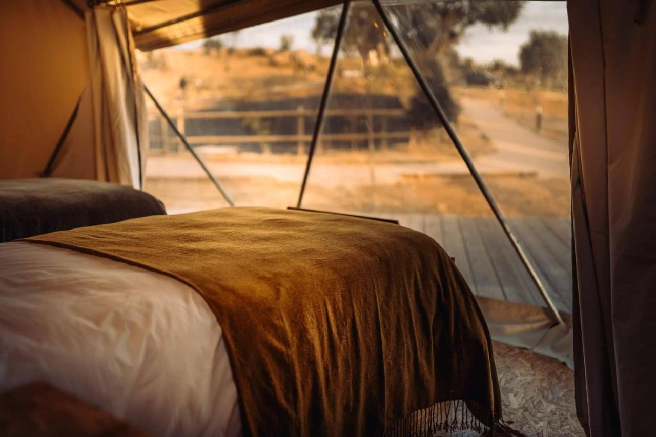 Nature Village Campsite Gaviao