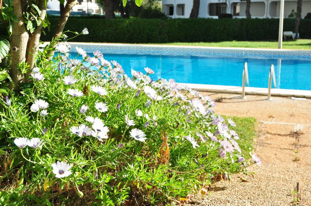Apartment Casal Das Alfarrobeiras *