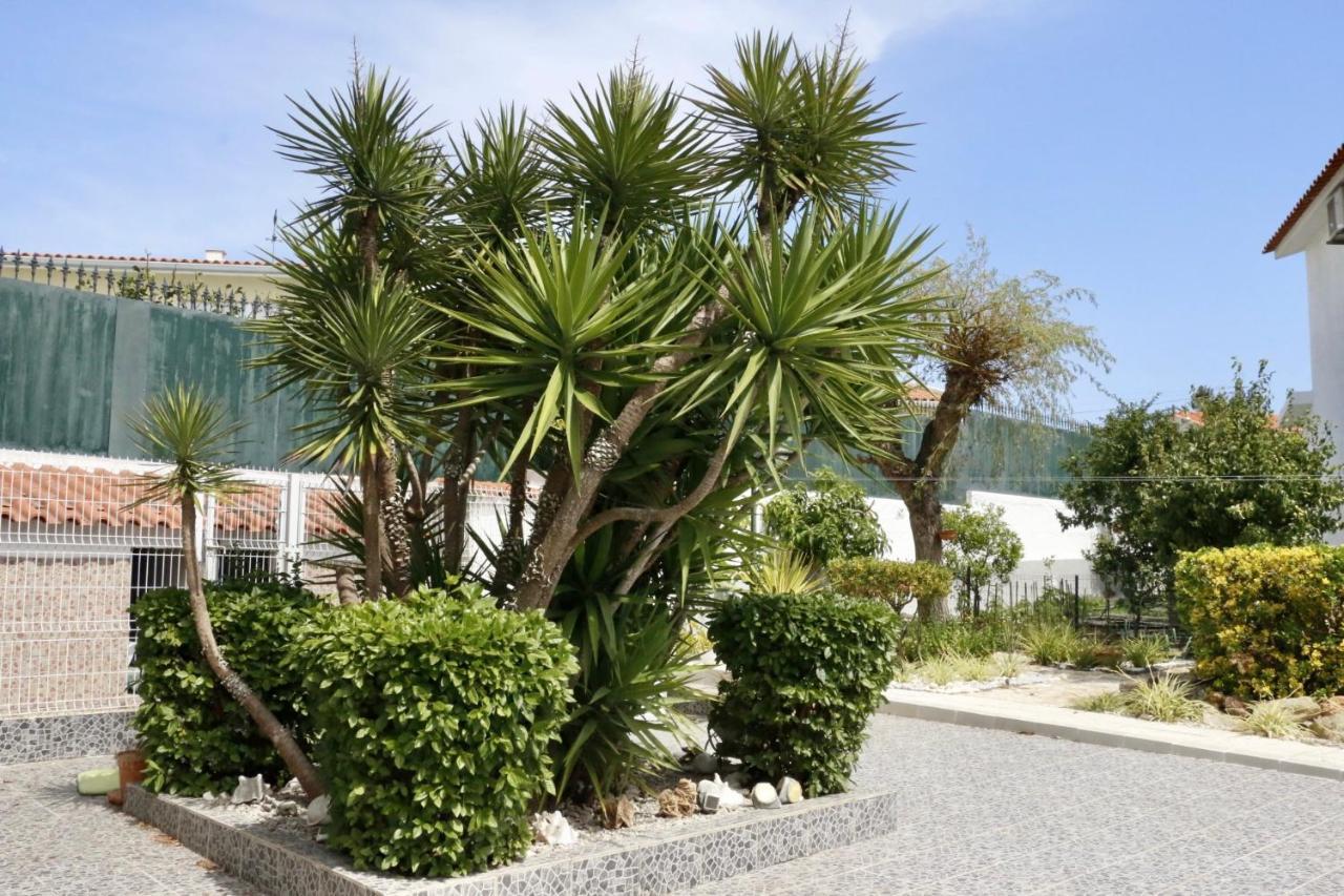 Bed & Breakfast Casa Teresinha