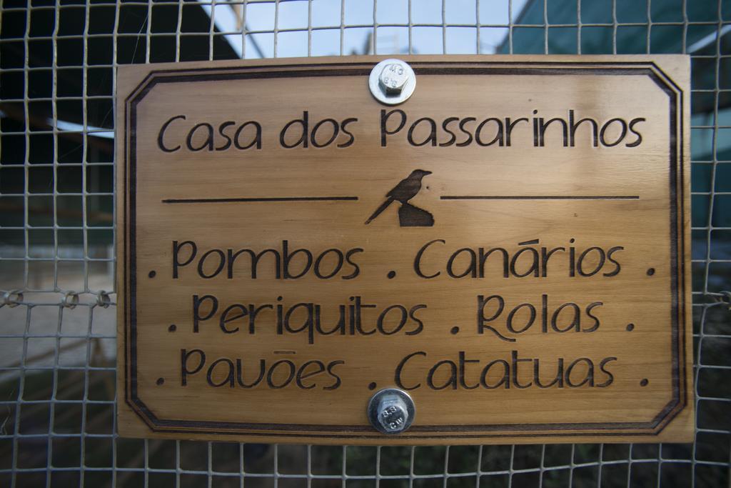 Gale Alentejo Vineyard - Clube De Campo 4* Albernoa