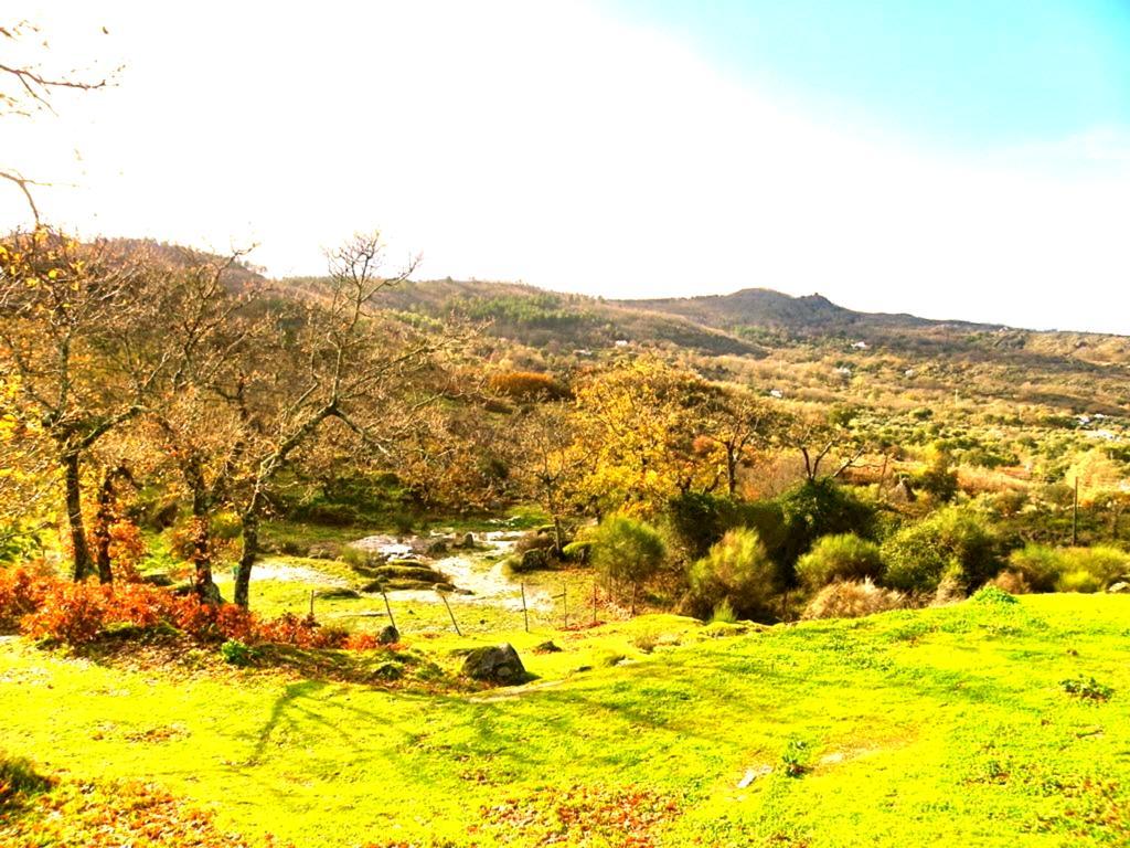 Quinta Do *