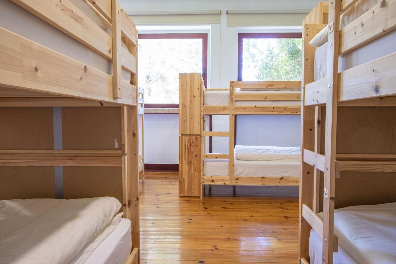 - Feel Nature Hostel