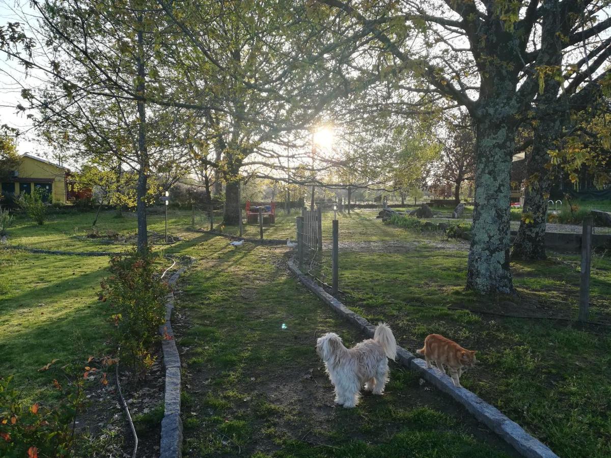 Casa Das Palmeiras Farm stay *