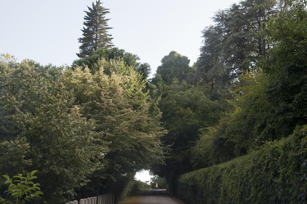 Quinta De Valverde Holiday park Viana do Castelo