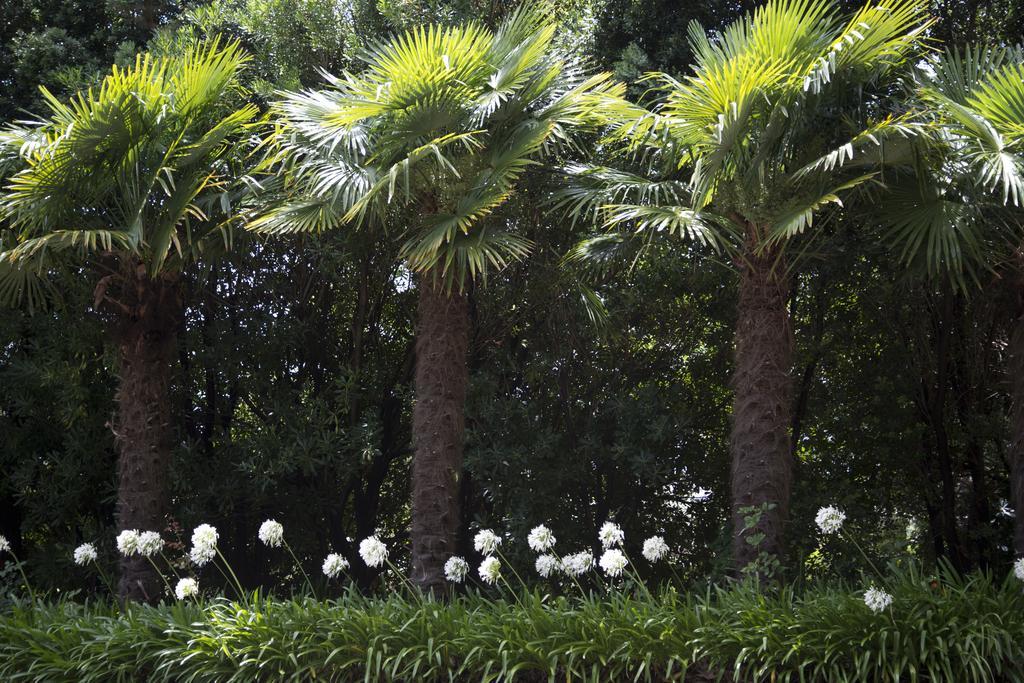 Quinta De Valverde 4*