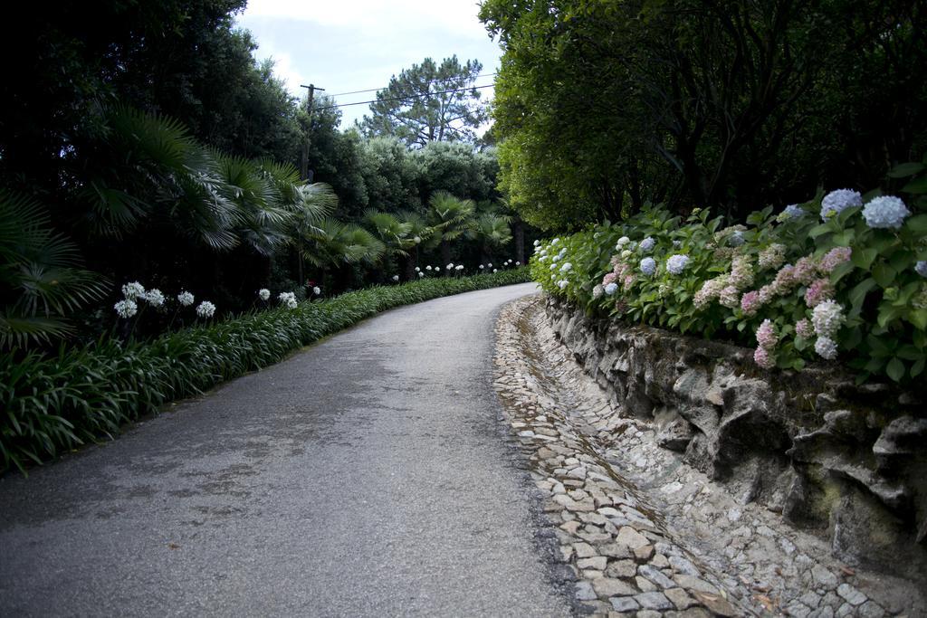 Quinta De Valverde Viana do Castelo