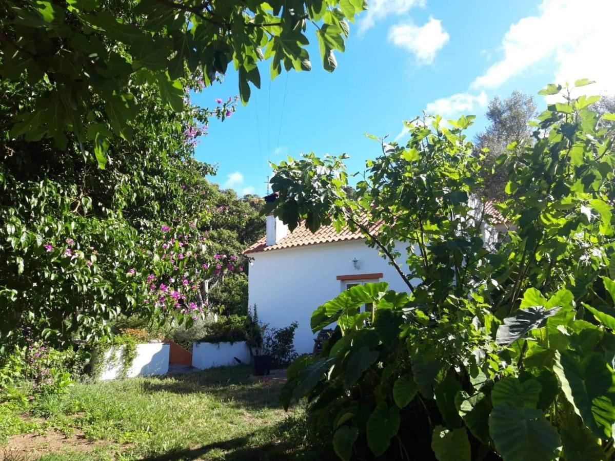 Quinta Algarve Das Relvinhas Monchique