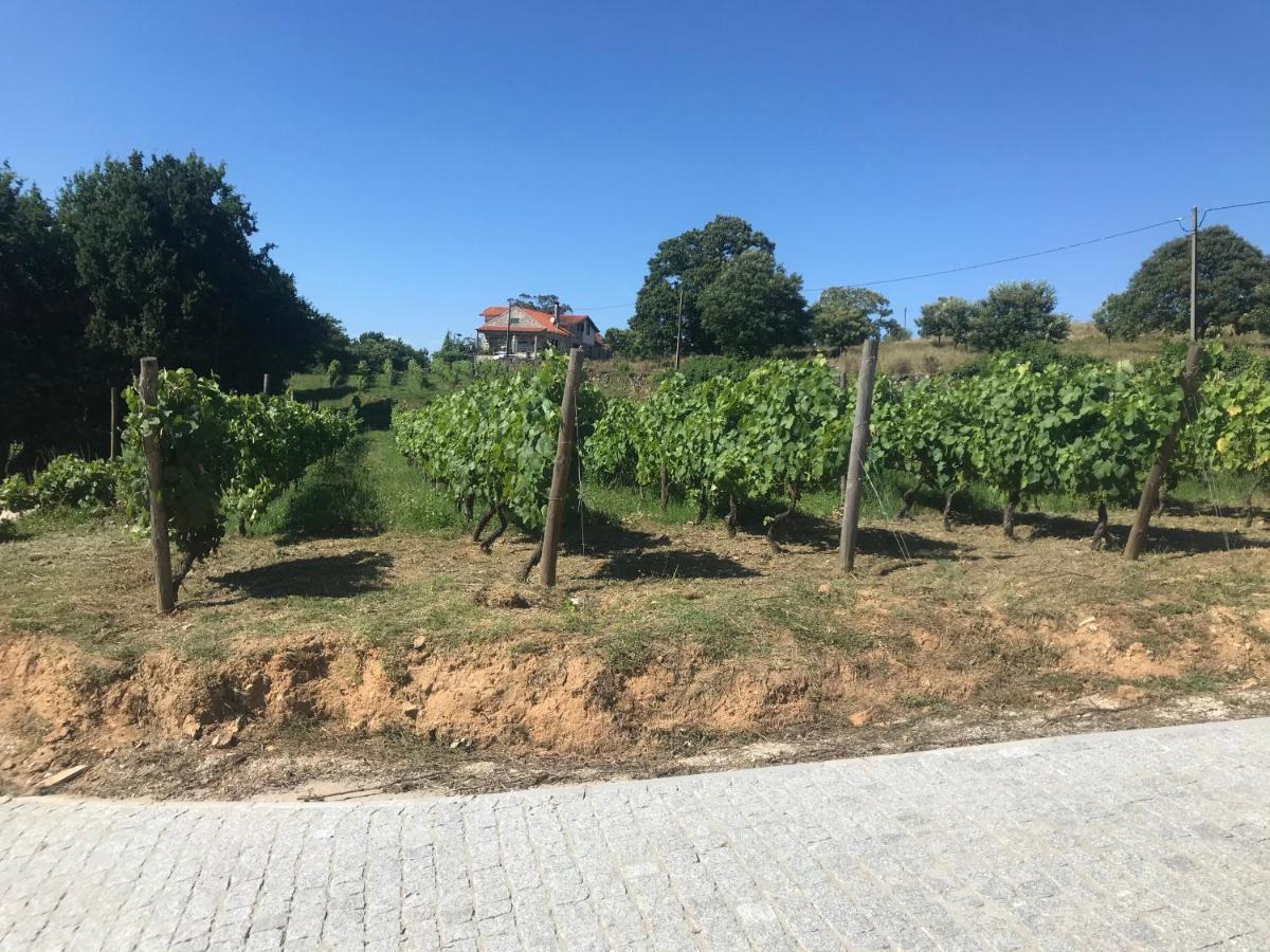 Quinta Casa Do Retiro Farm stay *