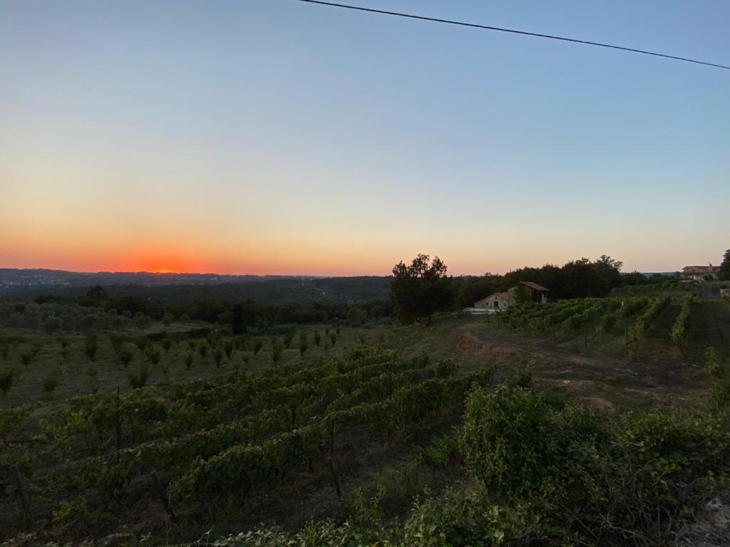 Farm stay Quinta Casa Do Retiro