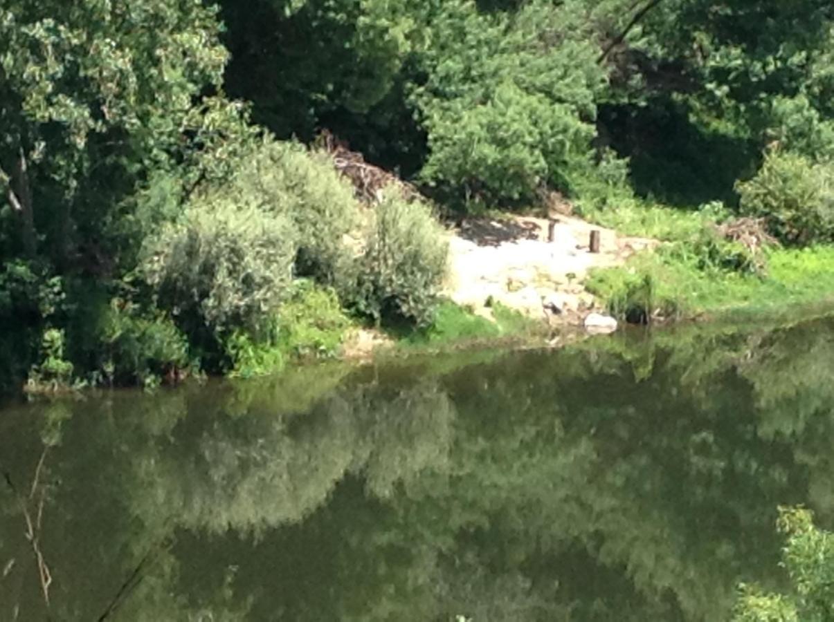 Vakantieboerderij Quinta Escomoeiras *