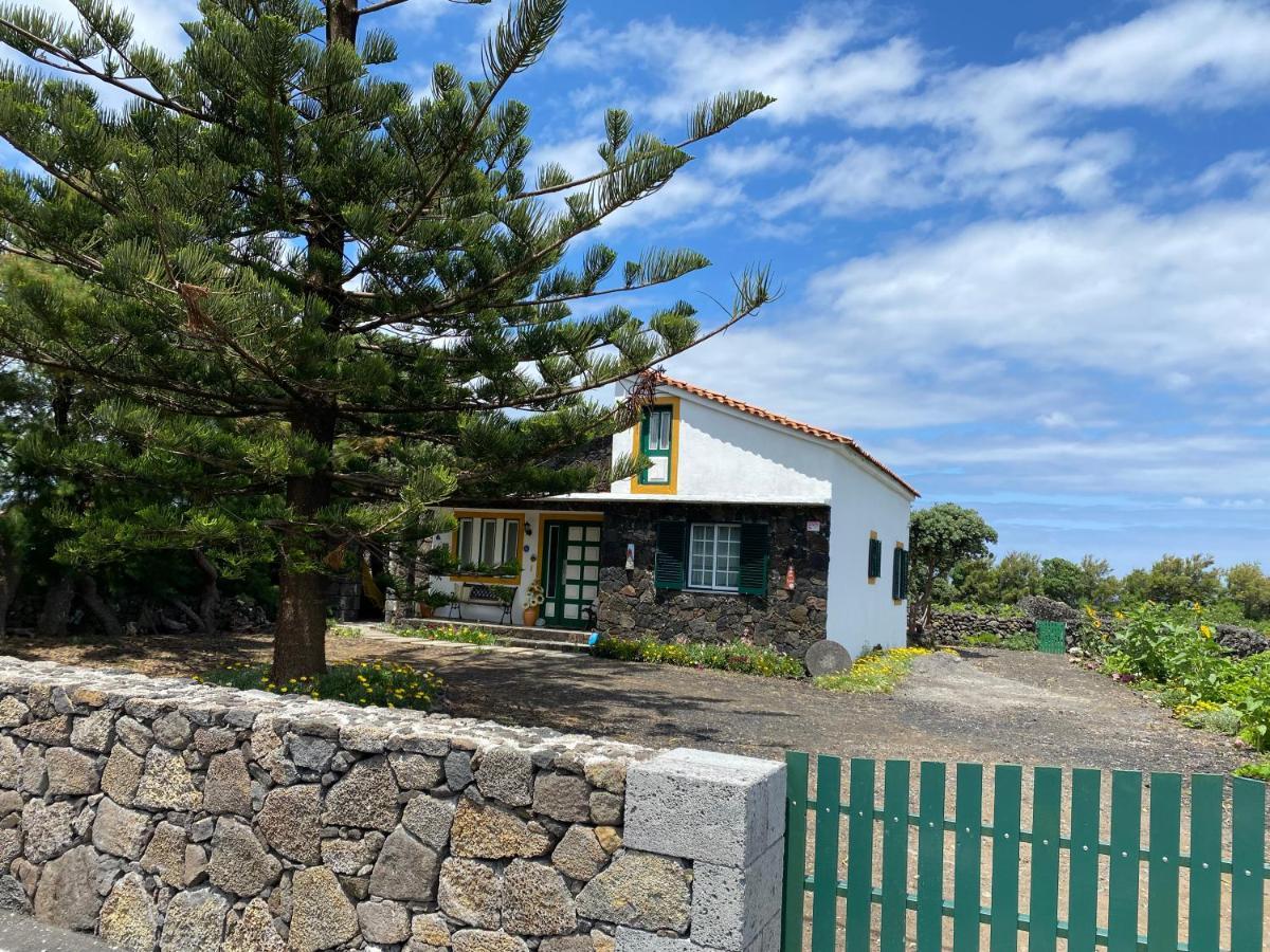 Holiday home Casa Da Costa Madalena (Azores)