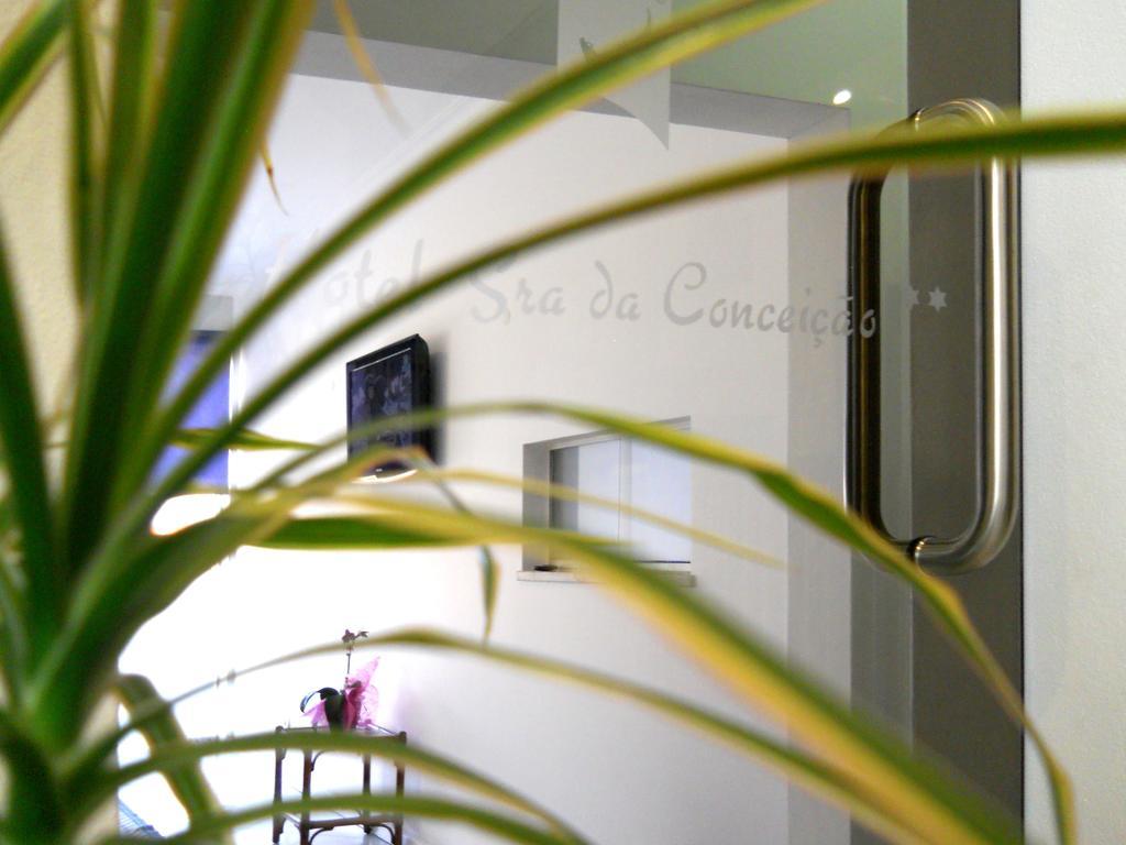 Sra Da Conceicao