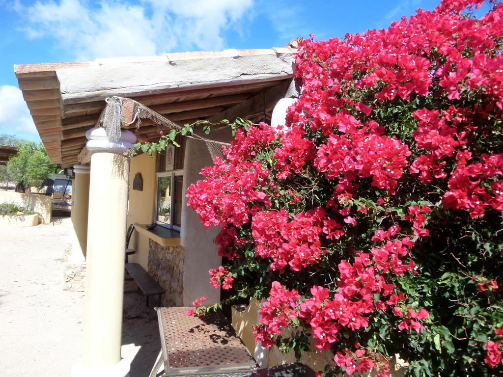Nature Quinta Al-gharb *