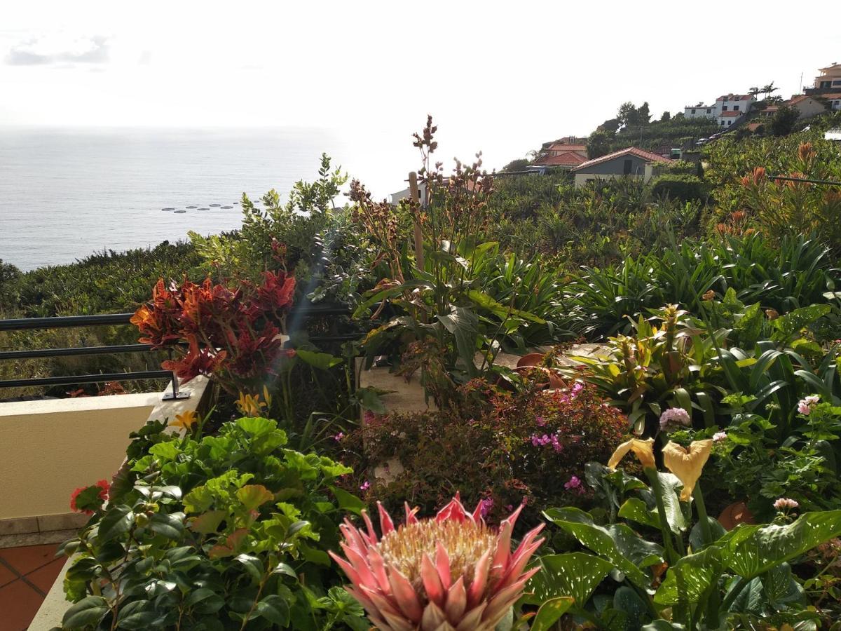 Jardim Do Arco 