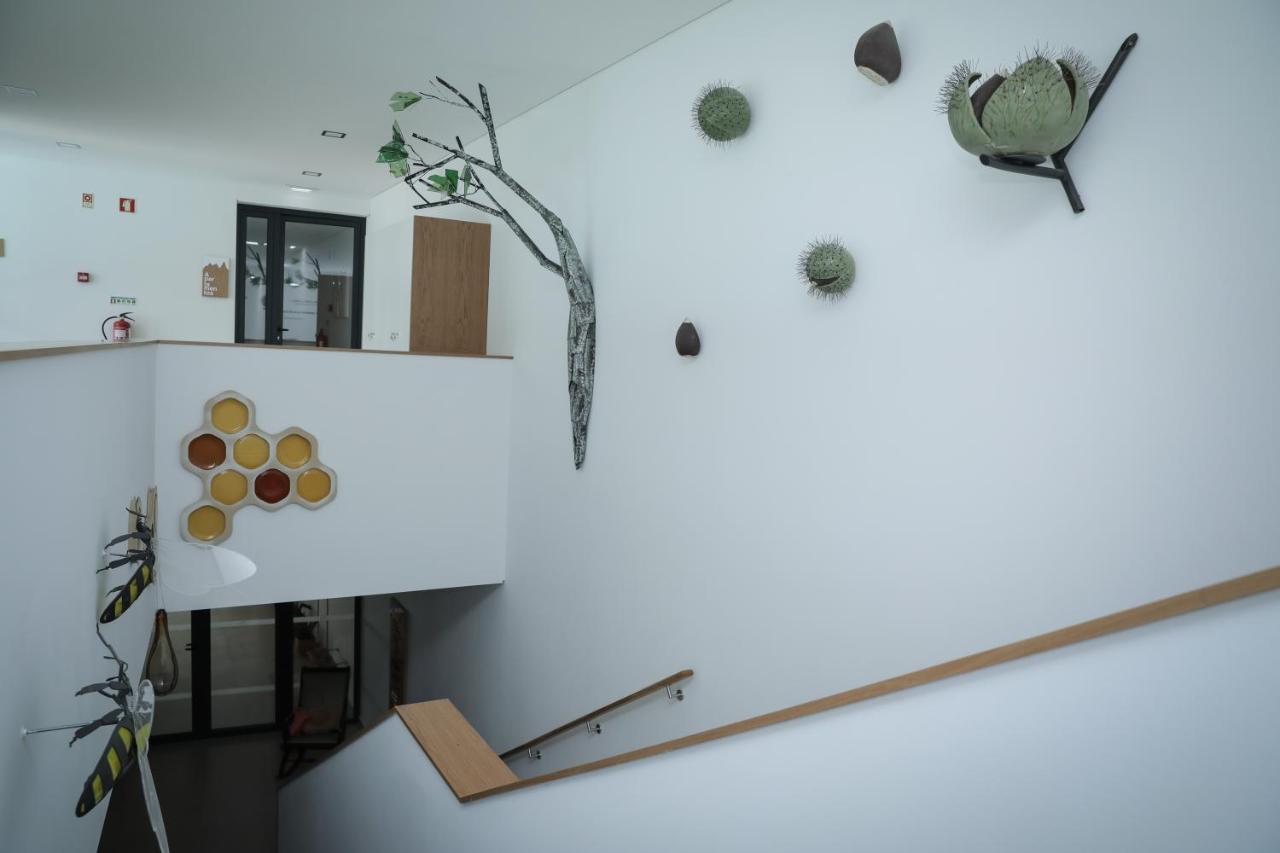 Farm stay Casa Condessinhas *