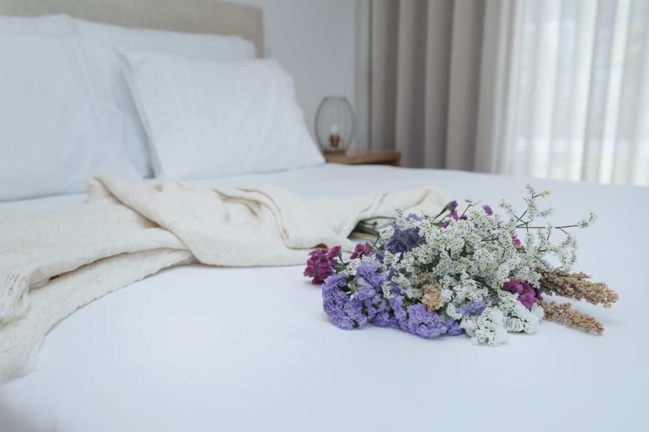 Farm stay Casa Condessinhas