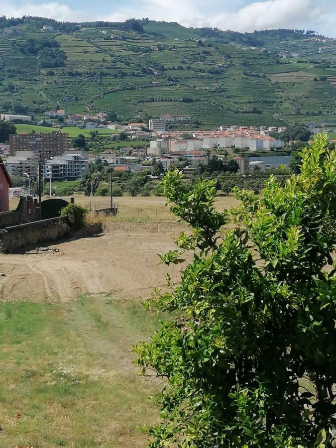 Vivenda Oliveira - Local Holiday home Lamego