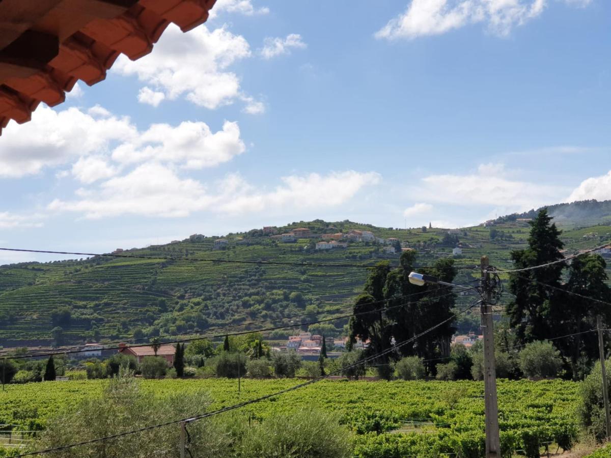 Vivenda Oliveira - Local Holiday home *