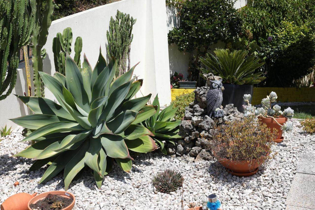 Casa Da Avo Bela Homestay *