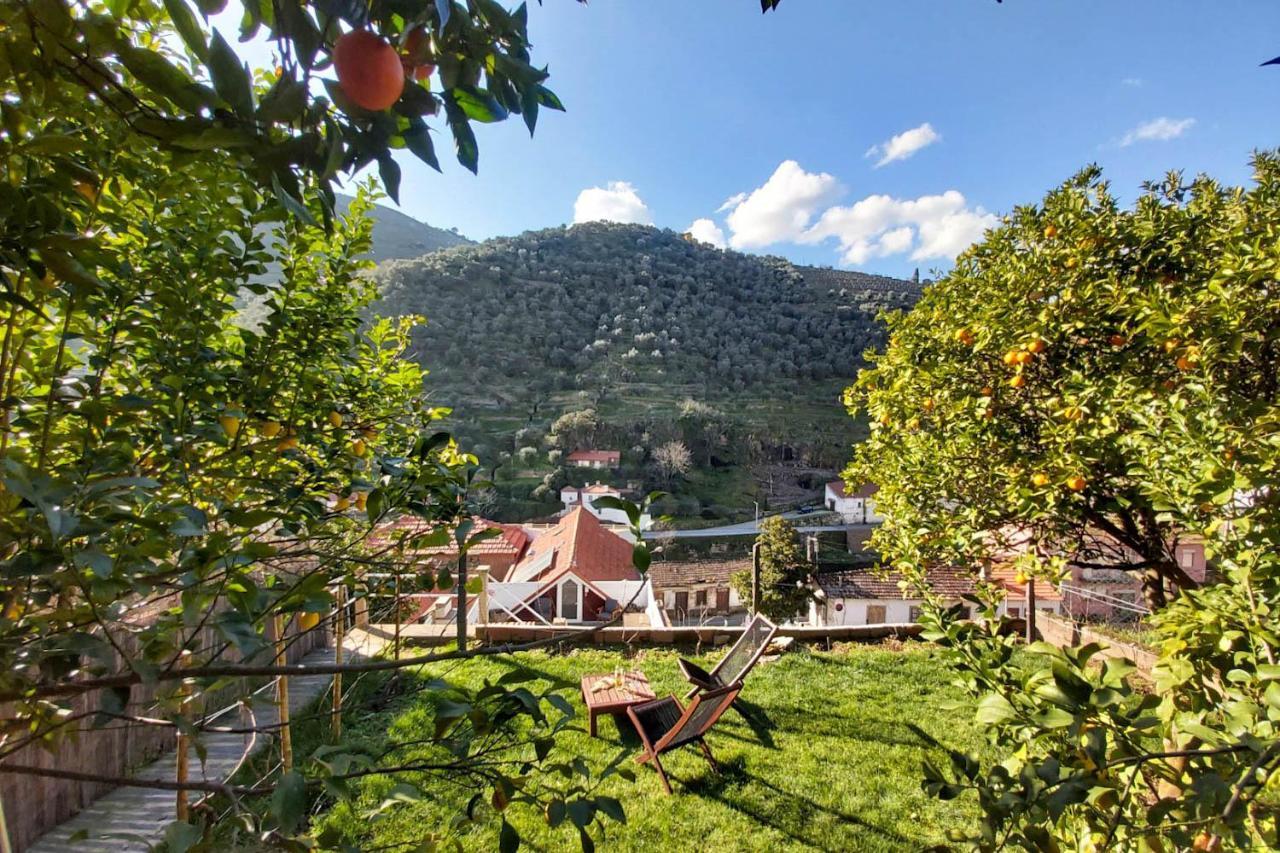 Hostel Douro Backpackers Pinhao