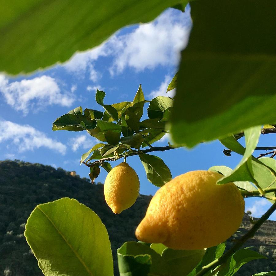 Hostel Douro Backpackers