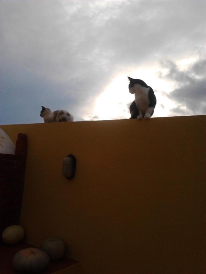 Casa Miramar