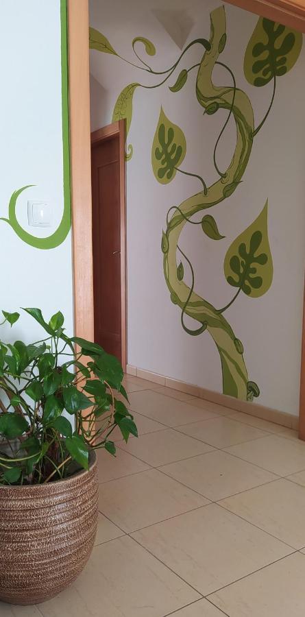 House Hostel
