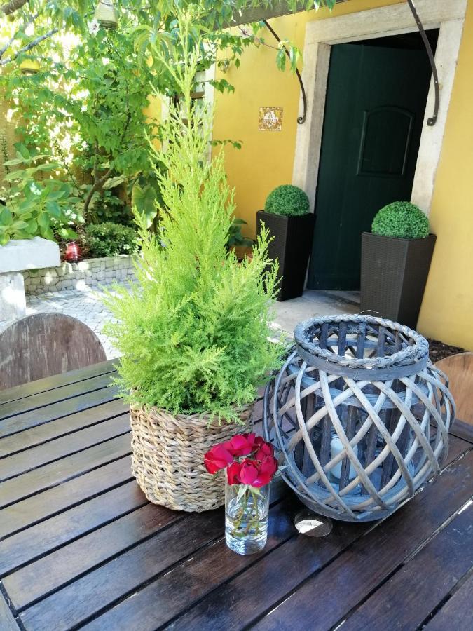 Country house Colmeal *