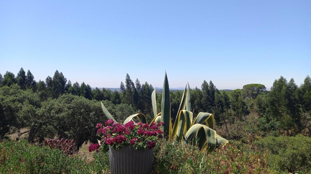 Monte Horizonte - The Private - Eco & Nature (adults Only)
