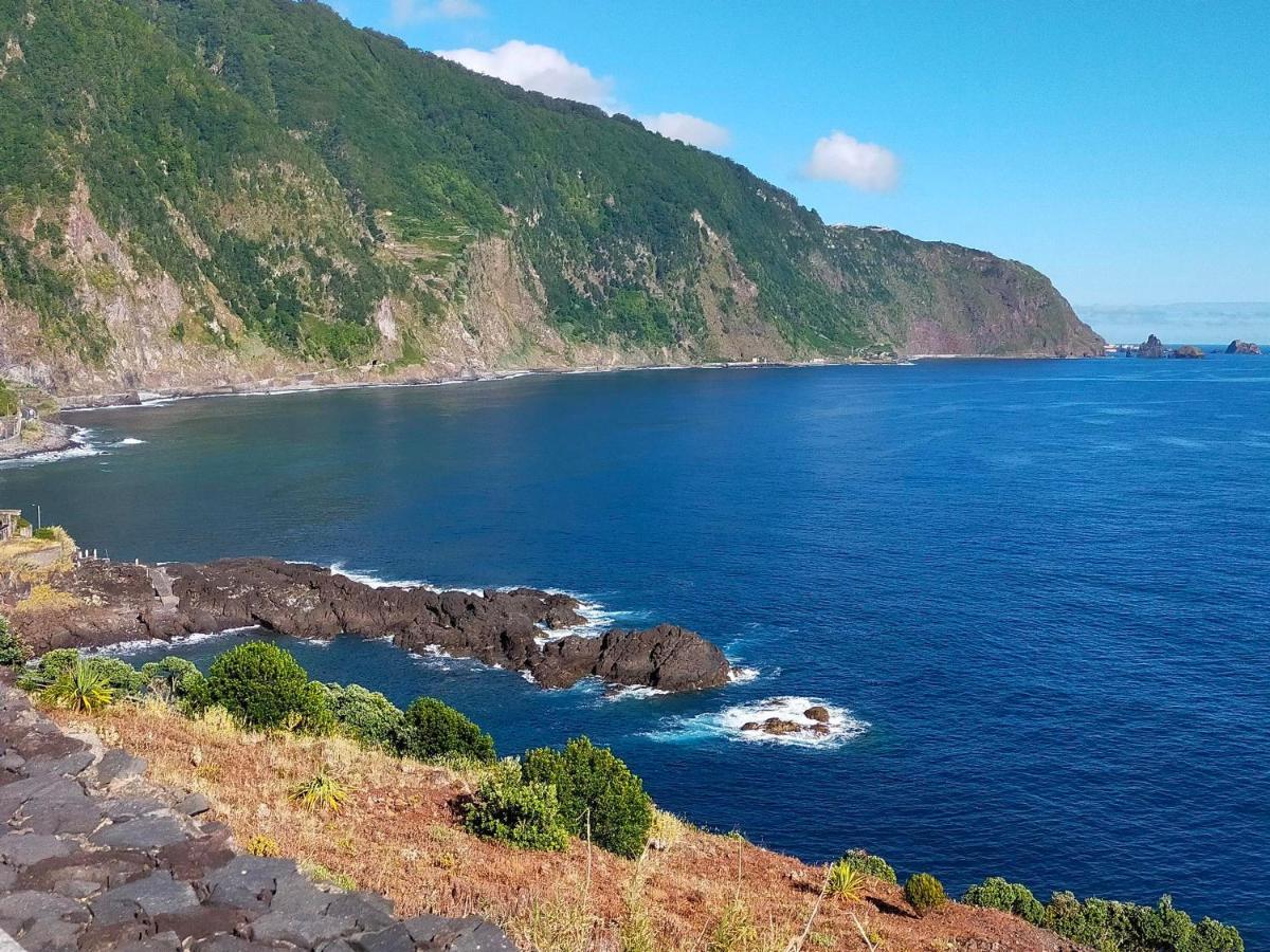 Ninho Gaivota Porto Moniz