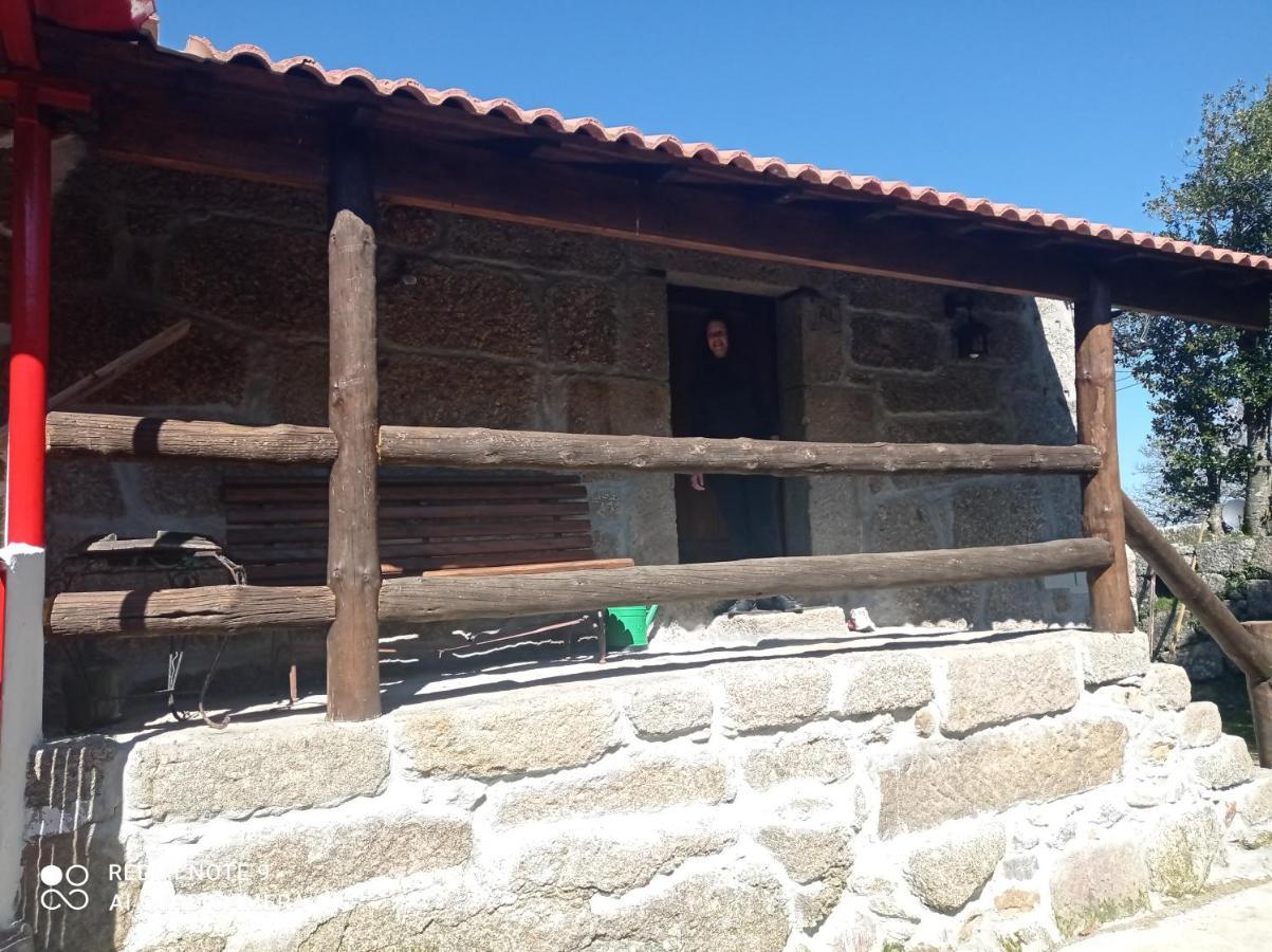 Casa Da Relva Inspirada Em Harry Potter Chalet Lamego