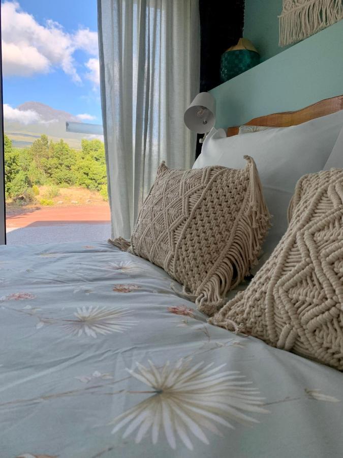 Picoterrace Villa Madalena (Azores)