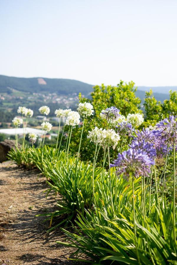 Farm stay Quinta Da Fonte - *