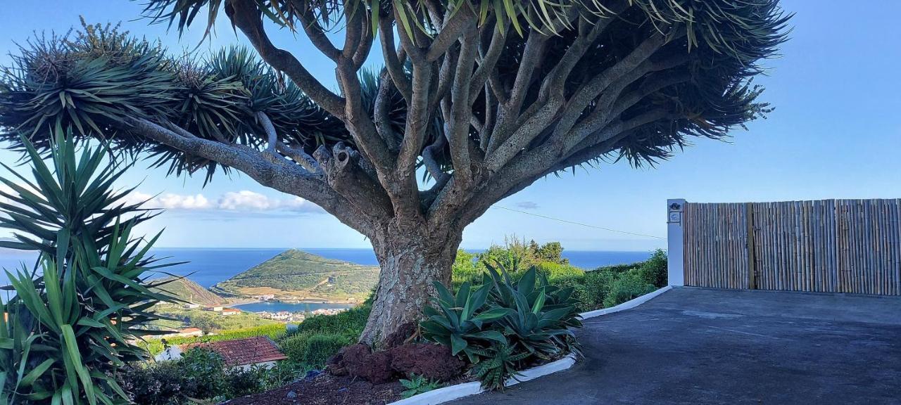 Home4u Apartamento Horta (Azores)