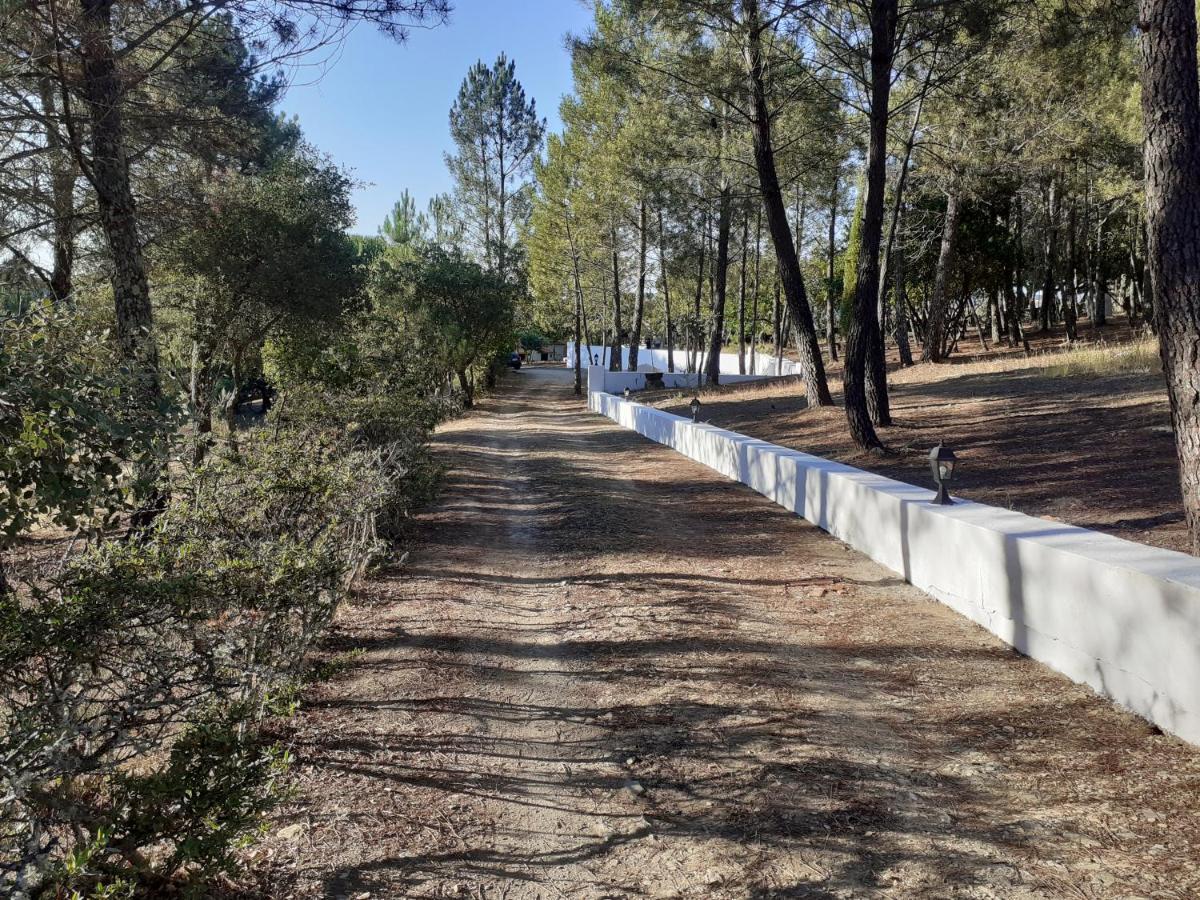 Agroturismo Quinta Lameirinhas *